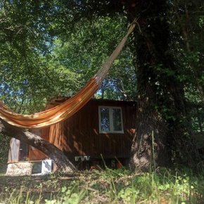Forest House near Usce Ada Bojana